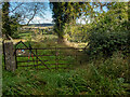 View from Winscombe Hill