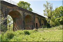 TQ5942 : Southborough Viaduct by N Chadwick