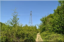 TQ5943 : Pylon by Tunbridge Wells Circular Walk by N Chadwick
