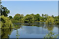 Lake, Somerhill Park