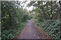 SU6774 : The Thames path at Tilehurst by Ian S