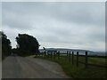 Passing place on Plymbridge Road, by Boringdon Park