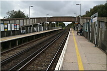 TQ7307 : Collington Station by N Chadwick