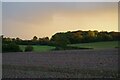 View off Yoxford Road, Middleton, towards Half Moon Covert