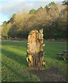 Carved throne, Valley Gardens