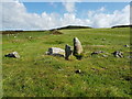 SM7123 : Stones in a field near Pen Dal-aderyn by Jeff Gogarty