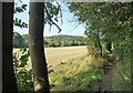 Stubble field beside the Derwent