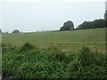 SJ9851 : Hay-making, south of Basford Bridge, Cheddleton by Christine Johnstone