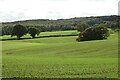 Rolling farmland at Pauntley