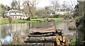 Albury - Waterloo Pond