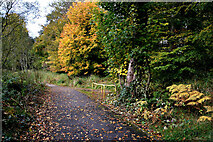 H4772 : Autumnal at Cranny by Kenneth  Allen