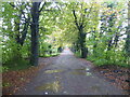 A wet day on Chestnut Avenue