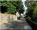 Tree-lined Postern, Brecon