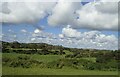 Drumlins east of the Bucks Head Road