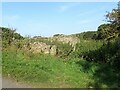 NZ0853 : Roadside ruins by Robert Graham