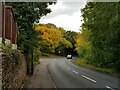 Autumn colour on Tagwell Road, Droitwich