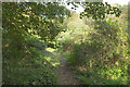 Footpath to Berry Head Farm