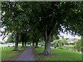 Footpath in Crown Meadow by the River Avon