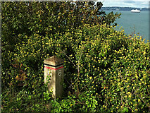 SX9456 : Trail marker, Berry Head Country Park by Derek Harper