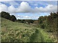 Downhill to Filnore Woods