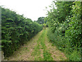 Footpath from Pegmire Lane to Summerhouse Lane