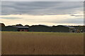 Barns, Frith Court Farm