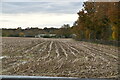 Field of stubble