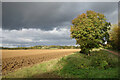 Farmland near Ramsden