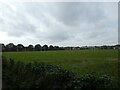 Rugby pitch, Weymouth and Portland Rugby Club