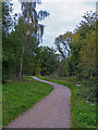 Path in Warley Country Park