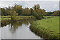 River Avon below Little Durnford Bridge