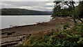 NM6863 : Loch Sunart foreshore by Mick Garratt
