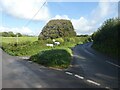 Signpost at road junction north of Cattistock