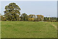 Footpath across field north of Wilsford