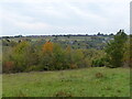SO7583 : View at the Severn Valley Country Park by Mat Fascione