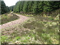 NS6734 : Forest track at Patrick Burn by Chris Wimbush