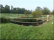 SJ9553 : Disused side pond, Hazelhurst Bottom Lock [no 37] by Christine Johnstone