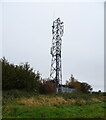 Communications mast, The Sleights