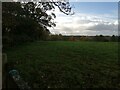 Farmland north of the Museum of Rural Life