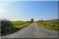 Longframlington : Country Lane