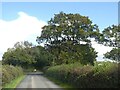 Minor road north of East Chelborough