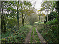 Footpath to Wood Mill and Keighley, Laycock