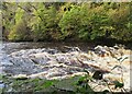 Rapids on the Avon Water