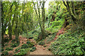 John Musgrave Heritage Trail, Valley of the Rocks