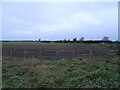 Field off Topcliffe Road (B1448)