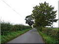 SE3279 : Minor road, Sutton Howgrave by JThomas
