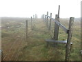 NT9419 : Fences, Hedgehope Hill by Geoff Holland