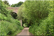 SZ5581 : Bridge over former railway line by N Chadwick