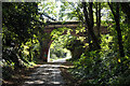 Buxton Road crossing the Rodwell Trail