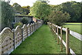 Footpath to Chapel Wood